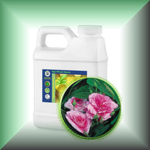 Rose Essential Oil *Bulgaria* (Rose Otto, Rosa Damascena)