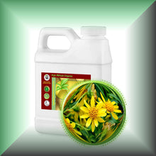 Arnica Tincture (Alcohol Extract - Highest Concentration 1:2)