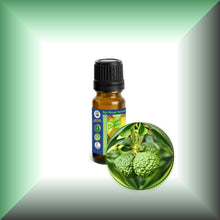 Bergamot (Citrus Bergamia) Essential Oil