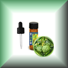 Bergamot (Citrus Bergamia) Essential Oil