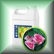 Rose Essential Oil *Bulgaria* (Rose Otto, Rosa Damascena)