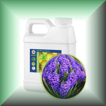 Hyacinth Absolute Essential Oil (Hyacinthus orientalis)