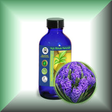 Hyacinth Absolute Essential Oil (Hyacinthus orientalis)