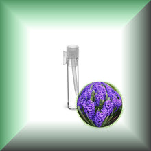 Hyacinth Absolute Essential Oil (Hyacinthus orientalis)