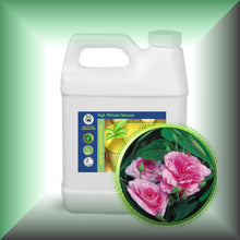 Rose Essential Oil *Bulgaria* (Rose Otto, Rosa Damascena)