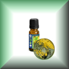 Mimosa Absolute Essential Oil (Acacia Dealbata, Asia)