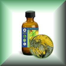 Mimosa Absolute Essential Oil (Acacia Dealbata, Asia)