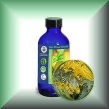 Mimosa Absolute Essential Oil (Acacia Dealbata, Asia)