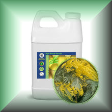Mimosa Absolute Essential Oil (Acacia Dealbata, Asia)