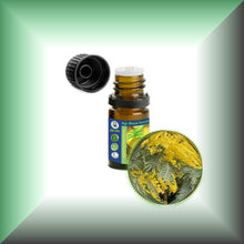 Mimosa Absolute Essential Oil (Acacia Dealbata, Asia)