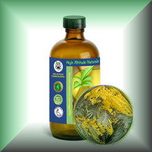 Mimosa Absolute Essential Oil (Acacia Dealbata, Asia)