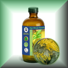 Mimosa Essential Oil (Acacia Dealbata)