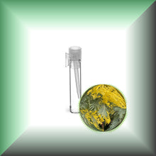 Mimosa Absolute Essential Oil (Acacia Dealbata, Asia)