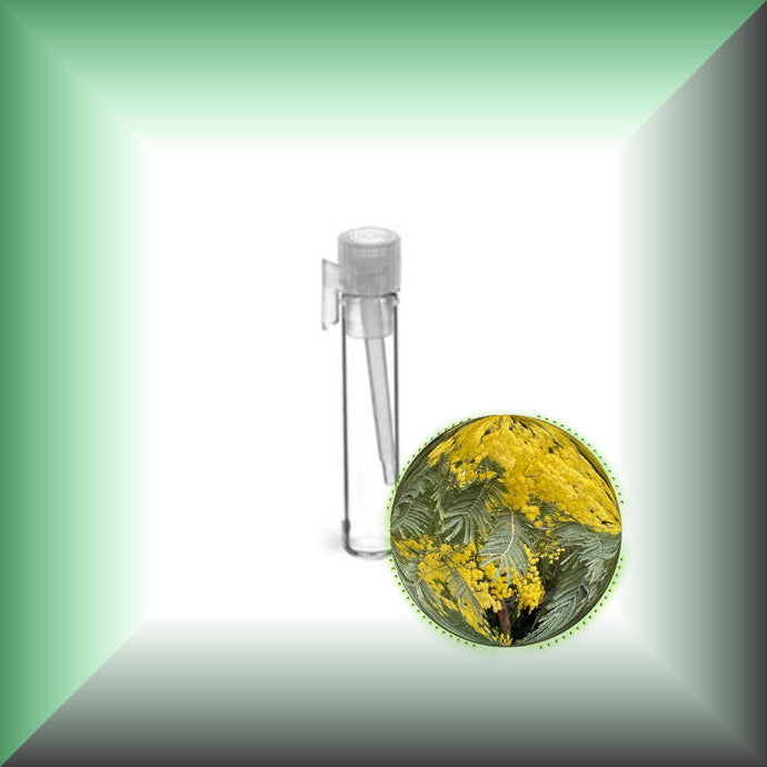 Mimosa Absolute Essential Oil (Acacia Dealbata, Asia)