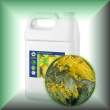 Mimosa Absolute Essential Oil (Acacia Dealbata, Asia)