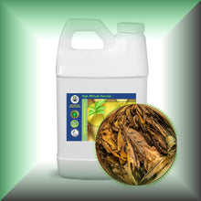 Tobacco Leaf Absolute Essential Oil (Nicotiana Tabacum)