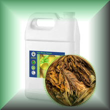 Tobacco Leaf Absolute Essential Oil (Nicotiana Tabacum)