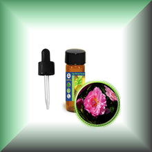 Rose De Mai Absolute Oil (Rosa Centifolia)