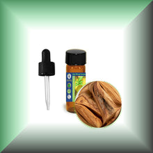 Palo Santo Essential Oil (Bursera graveolens)