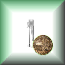 Agarwood Essential Oil (Aquilaria Crassna, Camb)