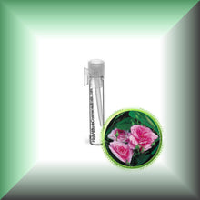 Rose Essential Oil *Bulgaria* (Rose Otto, Rosa Damascena)