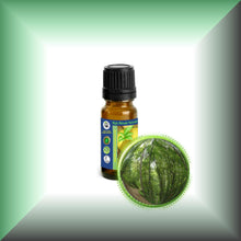 Birch *Black, Sweet* Bark Essential Oil (Betula Lenta)