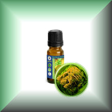 Carrot Seed Essential Oil (Daucus Carota) *Very High Carotol 70%*