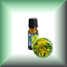 Cassie Sweet Absolute Oil (Acacia Farnesiana)