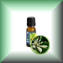 Champaca *White* Absolute Oil (Magnolia Alba)
