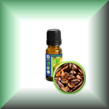 Coffee Essential Oil (Coffea Arabica)