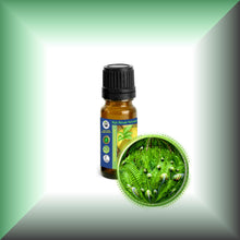 Fougere Absolute Oil