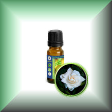 Gardenia Absolute Oil (Gardenia Jasminoides)