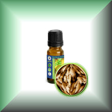 Ginger Root Essential Oil (Zingiber officinale)
