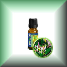 Honeysuckle Essential Oil (Lonicera caprifolium)