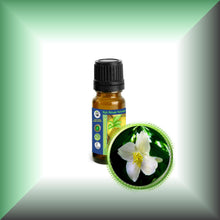 Jasmine Essential Oil (Jasminum Grandiflorum)