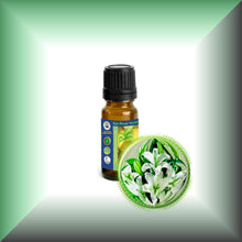 Lily Absolute Oil (Lilium Auratum)