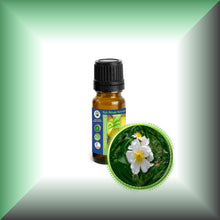 Wild Musk Rose Essential Oil (Rosa Moschata)