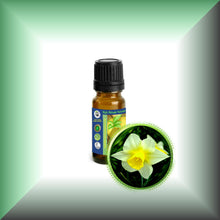 Narcissus Daffodil Essential Oil (Narcissus Poeticus)