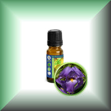 Orris Root Absolute Oil (Iris Pallida)