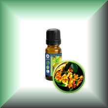 Osmanthus Absolute Oil (Osmanthus Fragrans)
