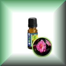 Rose De Mai Absolute Oil (Rosa Centifolia)
