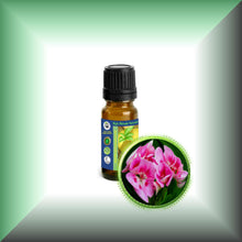 Geranium (Pelargonium Graveolens) Essential Oil
