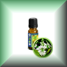 Tuberose Absolute Oil (Polianthes Tuberosa)