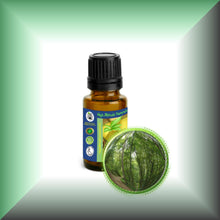 Birch *Black, Sweet* Bark Essential Oil (Betula Lenta)