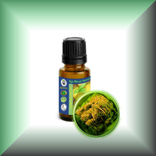 Carrot Seed Essential Oil (Daucus Carota) *Very High Carotol 70%*