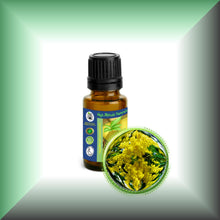 Cassie Sweet Absolute Oil (Acacia Farnesiana)