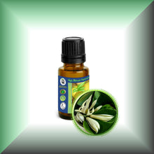 Champaca *White* Absolute Oil (Magnolia Alba)