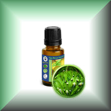 Fougere Absolute Oil