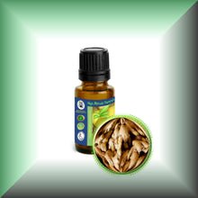 Ginger Root Essential Oil (Zingiber officinale)