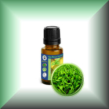 Green Tea Absolute Essential Oil (Camellia Sinensis)